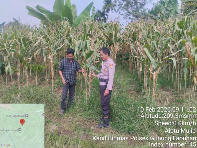 IMG-20260211-WA0080(1)